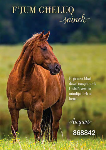 Picture of FJUM GHELUQ SNINEK